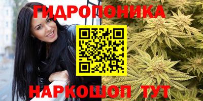 ешки Сланцы