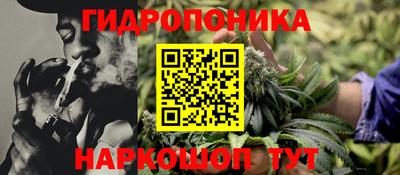 ешки Сланцы