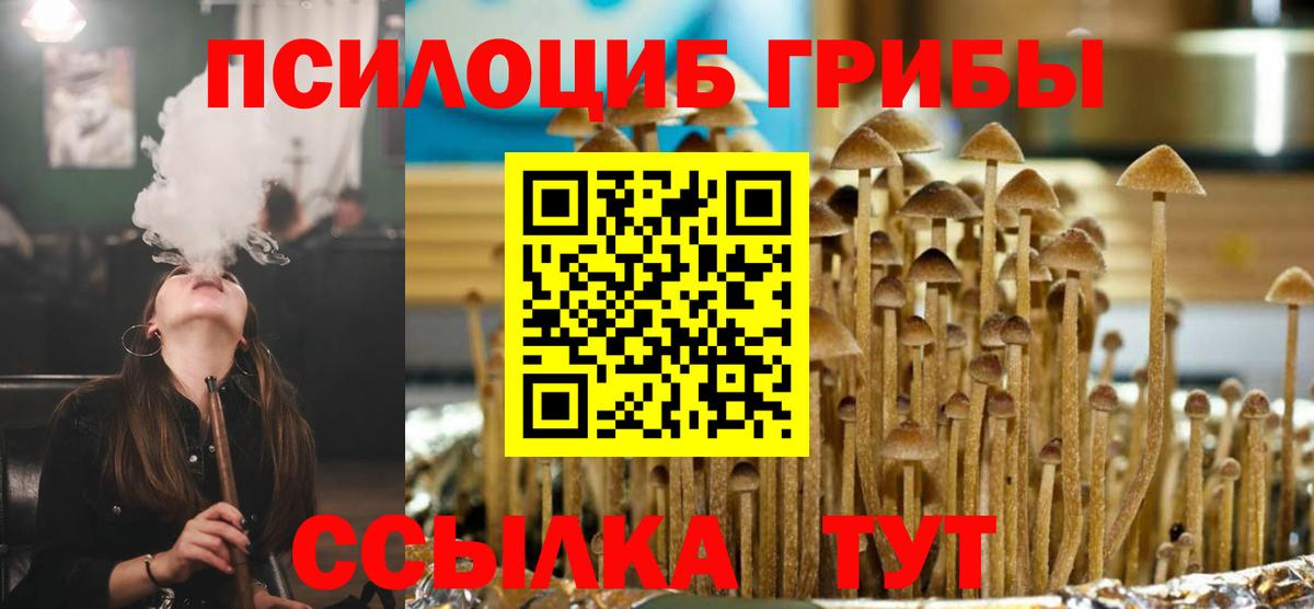 Галлюциногенные грибы Psilocybine cubensis  закладки  Набережные Челны  Вход с VPN  Псилоцибиновые грибы мухоморы 