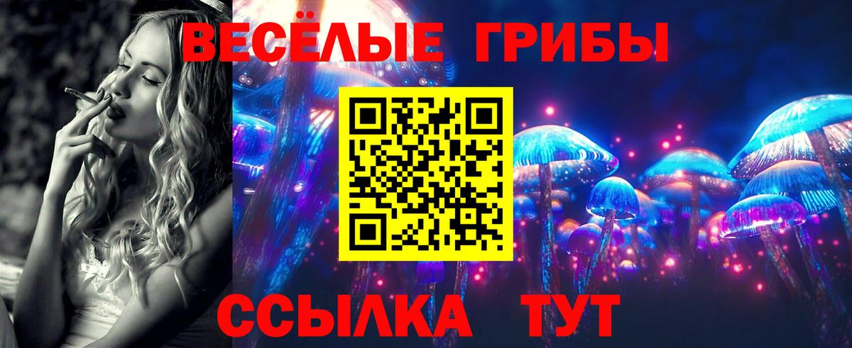 Псилоцибиновые грибы Psilocybe Набережные Челны